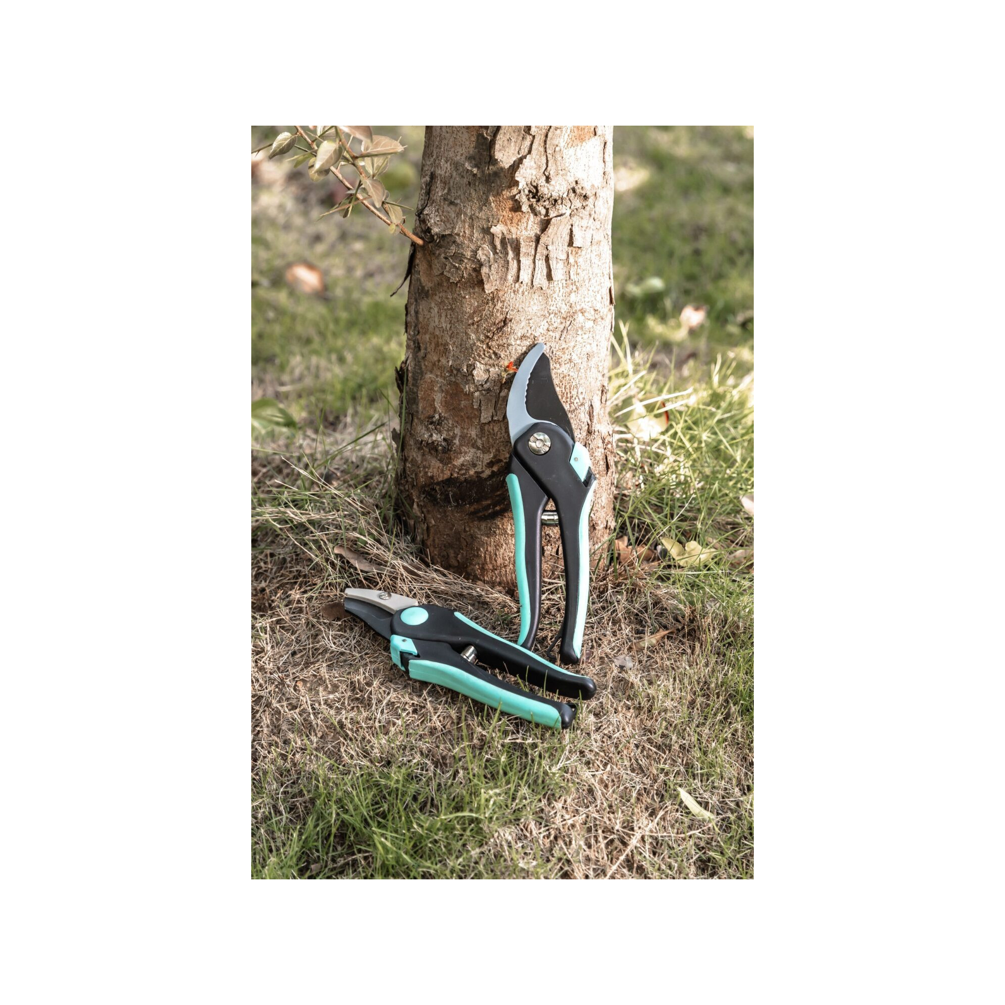 Lot de 2 sécateurs - Suan - Lame franche et lame enclume - En acier