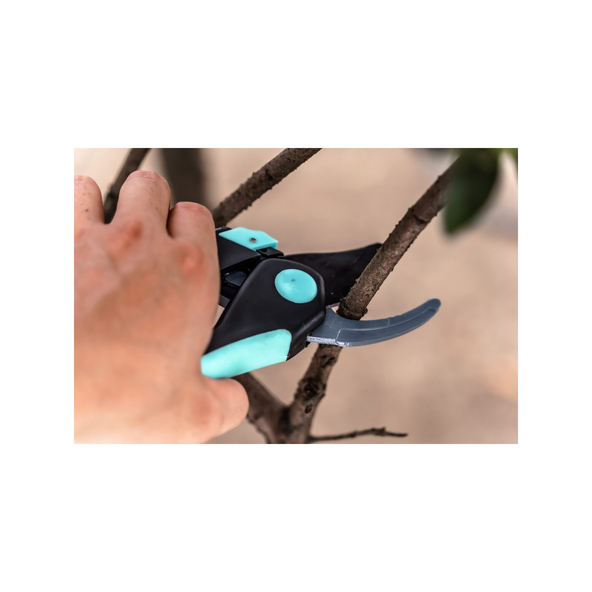 Lot de 2 sécateurs - Suan - Lame franche et lame enclume - En acier