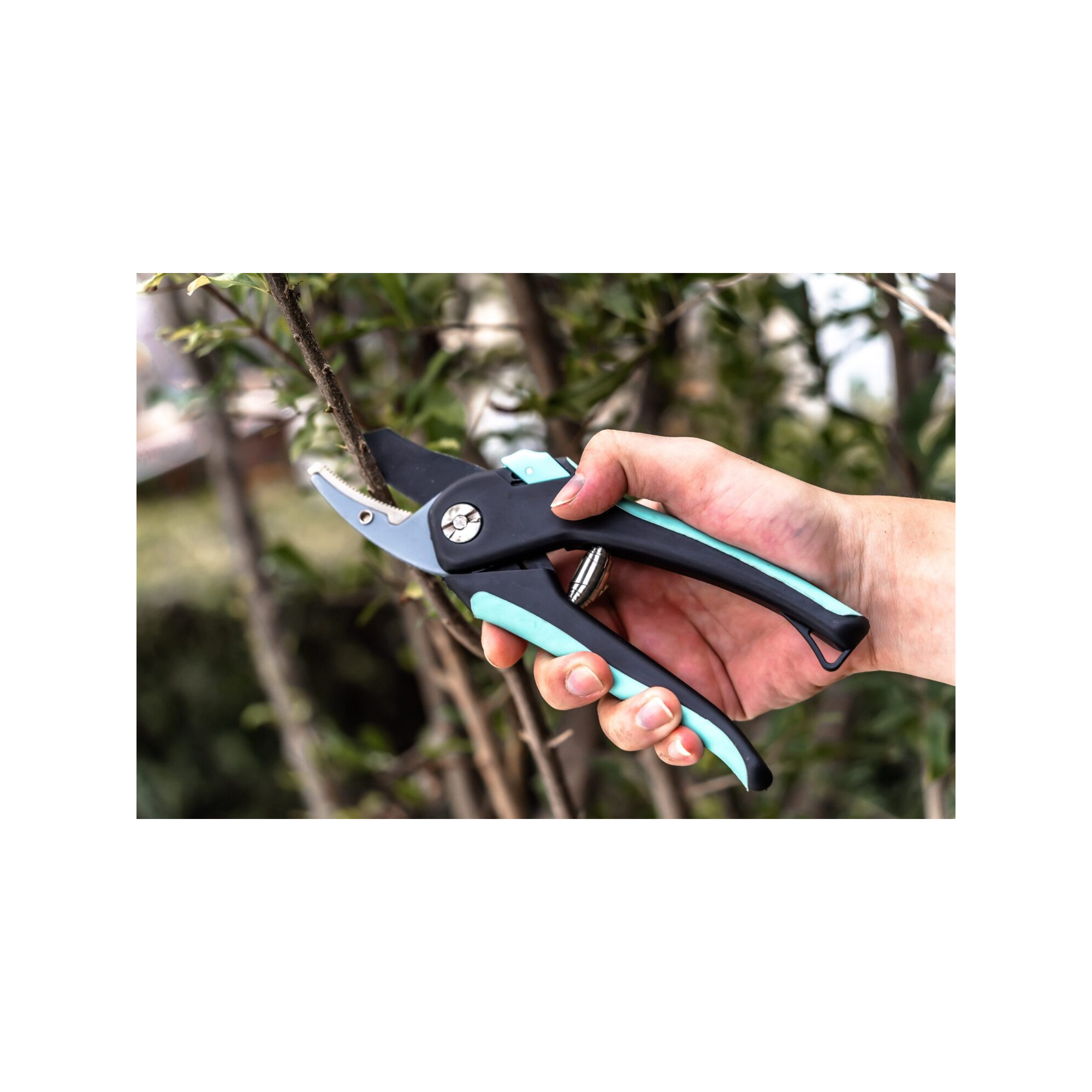 Lot de 2 sécateurs - Suan - Lame franche et lame enclume - En acier