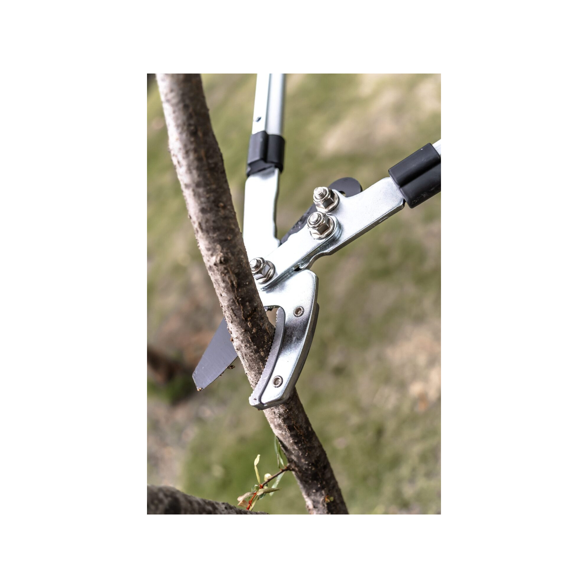 Coupe branche lame enclume - Suan - Manche télescopique - Dimensions : 88,5 x 30,5 x 3 cm