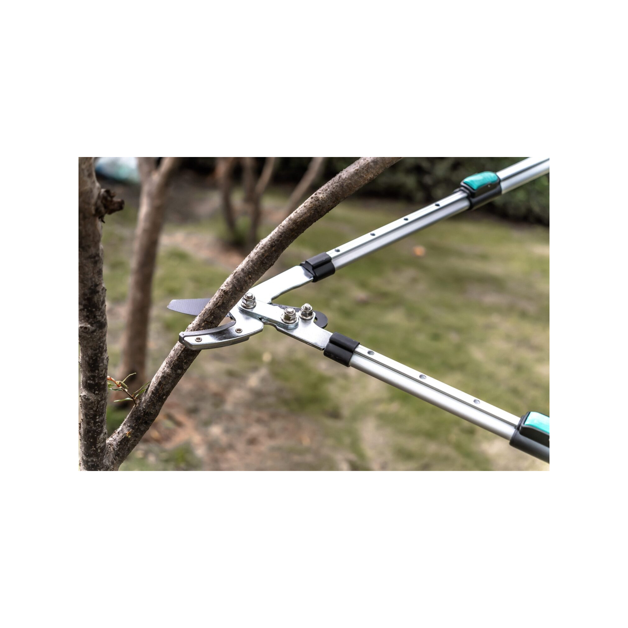 Coupe branche lame enclume - Suan - Manche télescopique - Dimensions : 88,5 x 30,5 x 3 cm