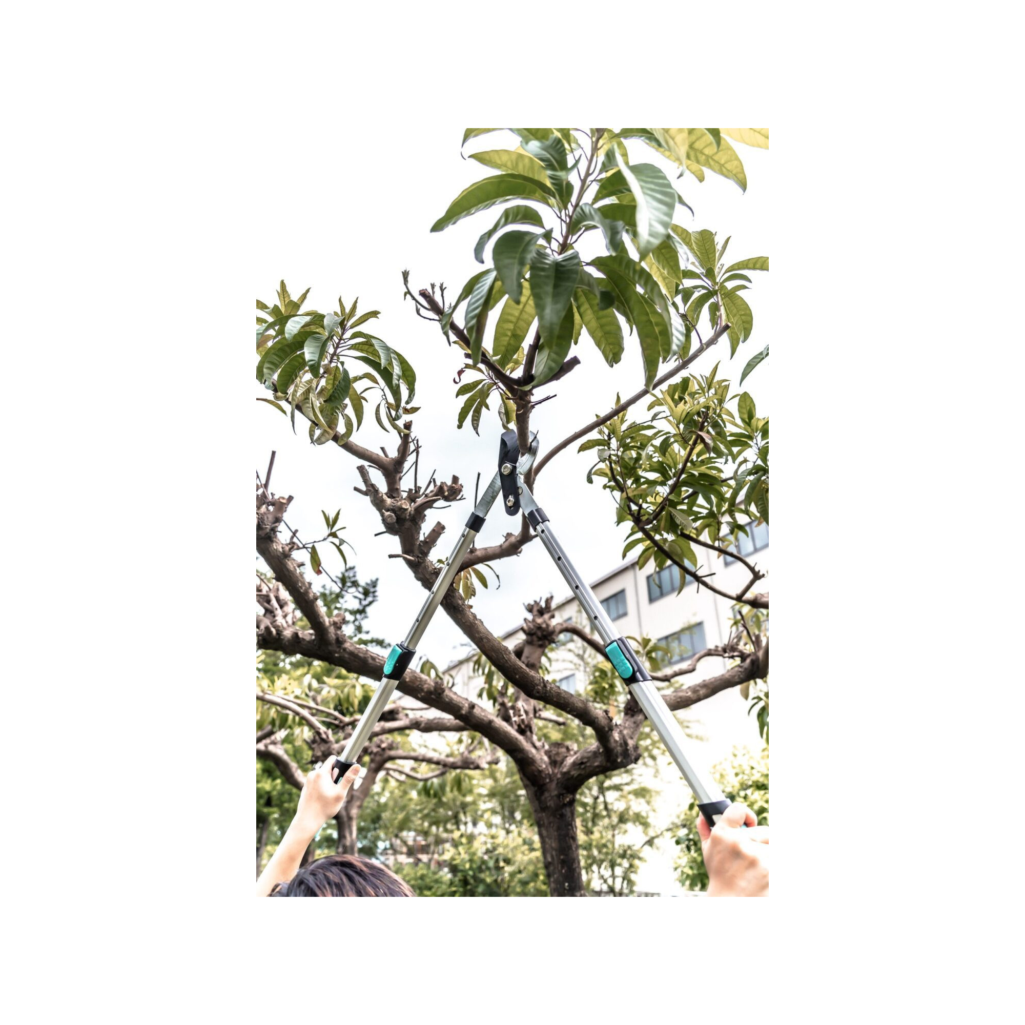 Coupe branche lame enclume - Suan - Manche télescopique - Dimensions : 88,5 x 30,5 x 3 cm