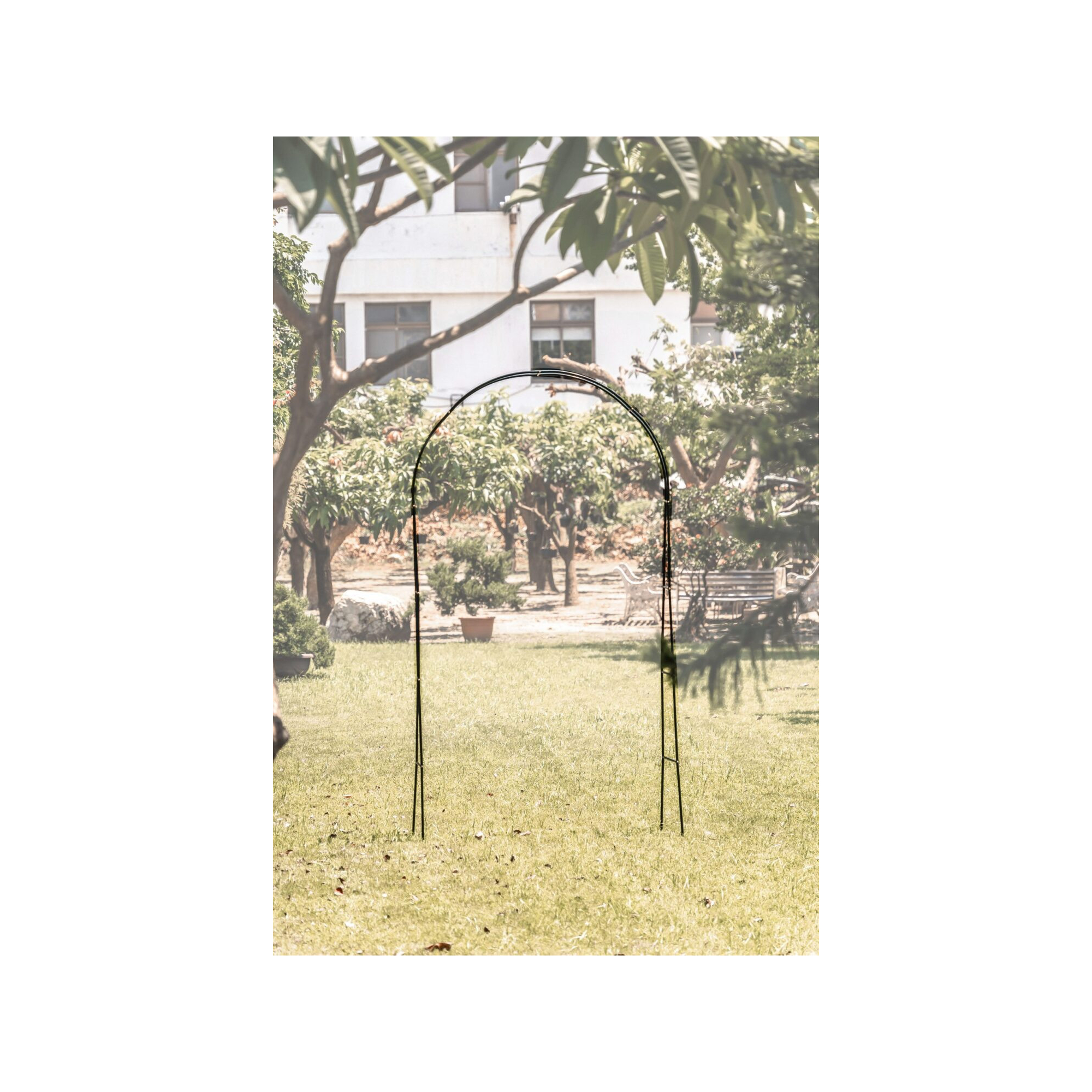 Support arceau pour plante - Suan - Accompagnement à la pousse - Dimensions : 137 x 38 x 243 cm