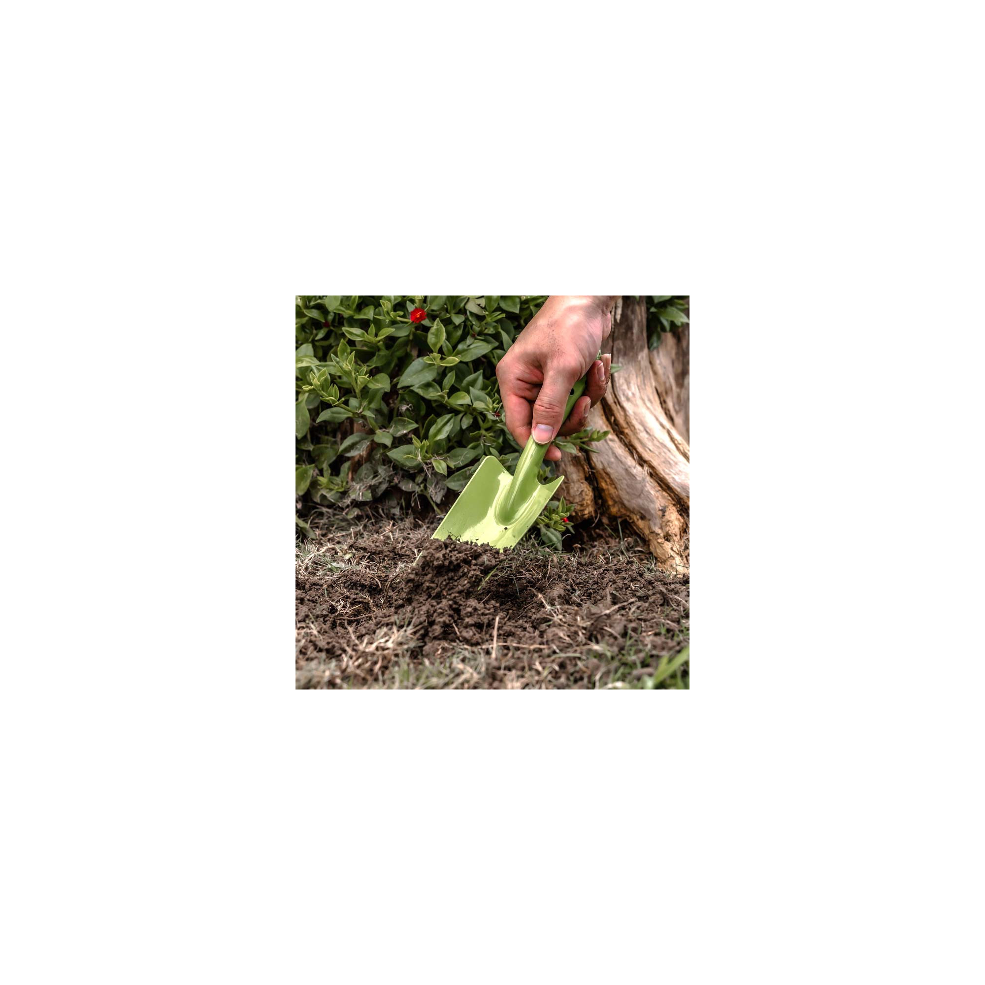 Transplantoir pour jardinage - Suan - En acier - Dimensions : 26 x 6 cm