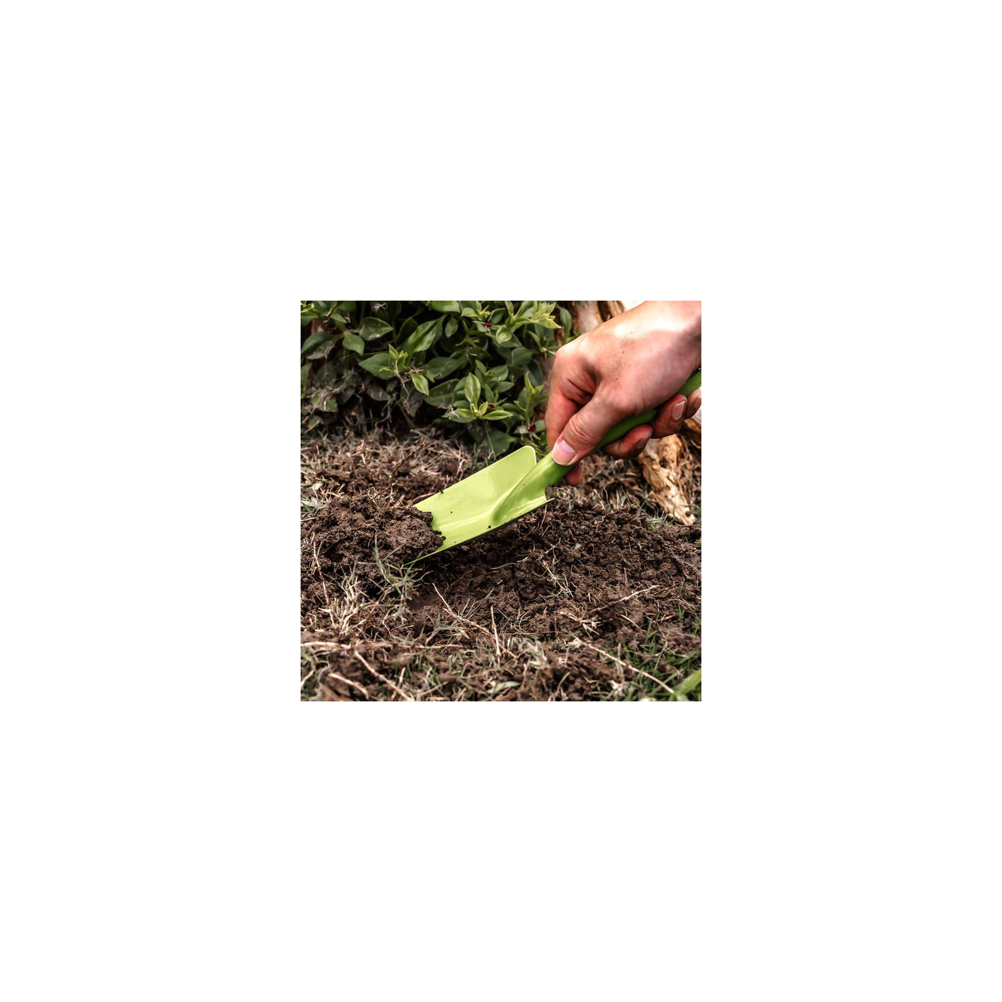 Transplantoir pour jardinage - Suan - En acier - Dimensions : 26 x 6 cm