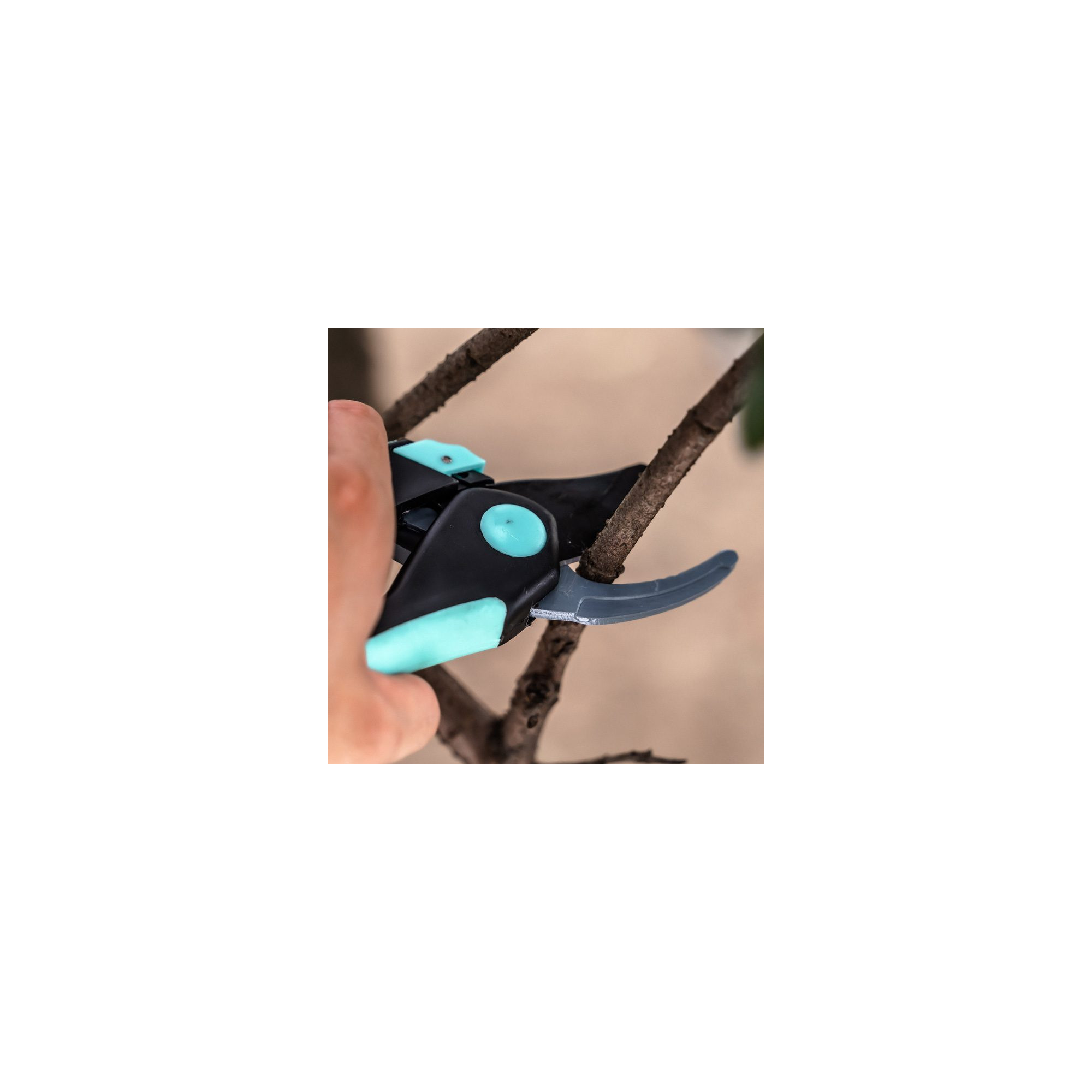 Sécateur avec lame franche - Suan - En acier - Dimensions : 20 x 6 cm