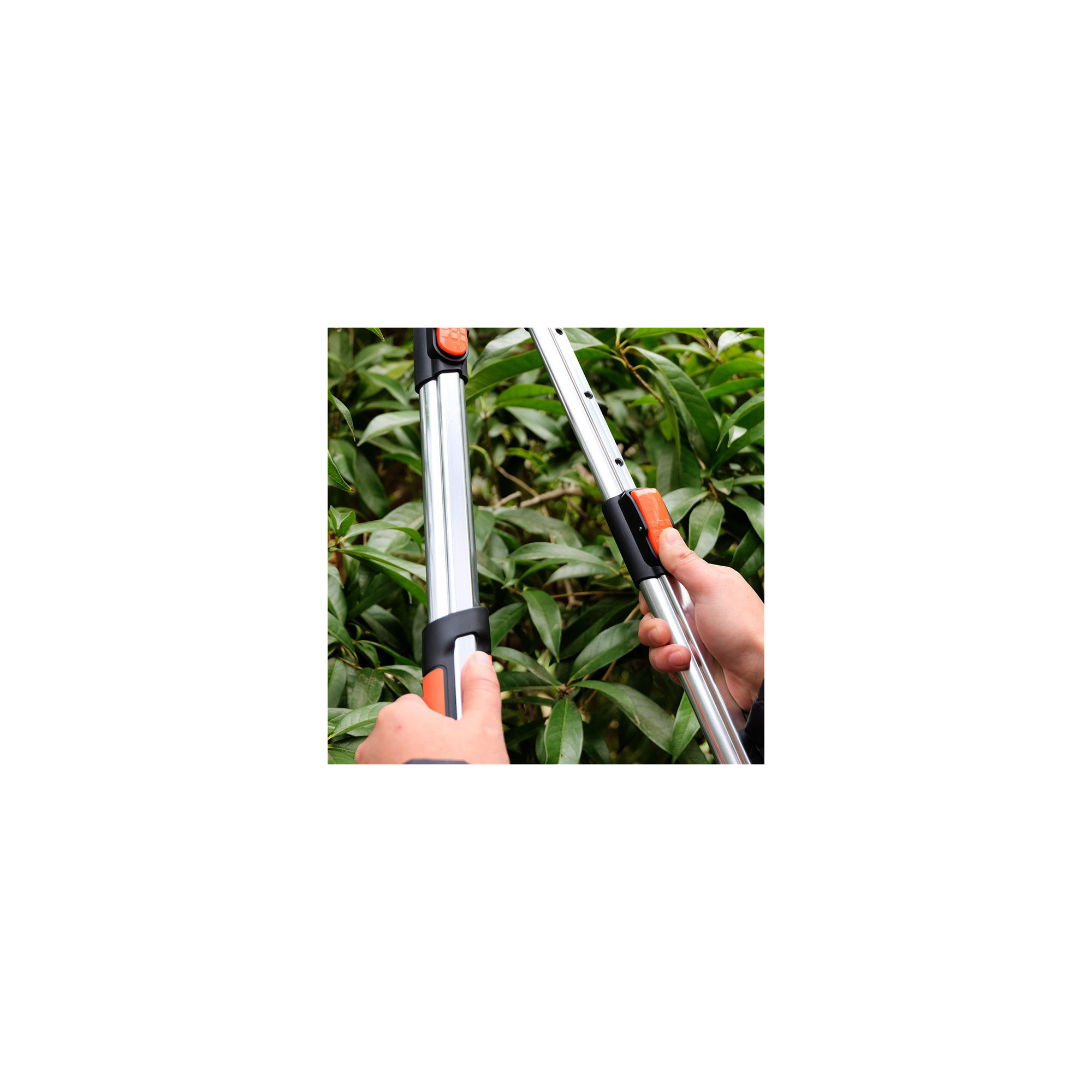 Coupe branche lame enclume - Suan - Manche télescopique - Dimensions : 87 x 34 cm