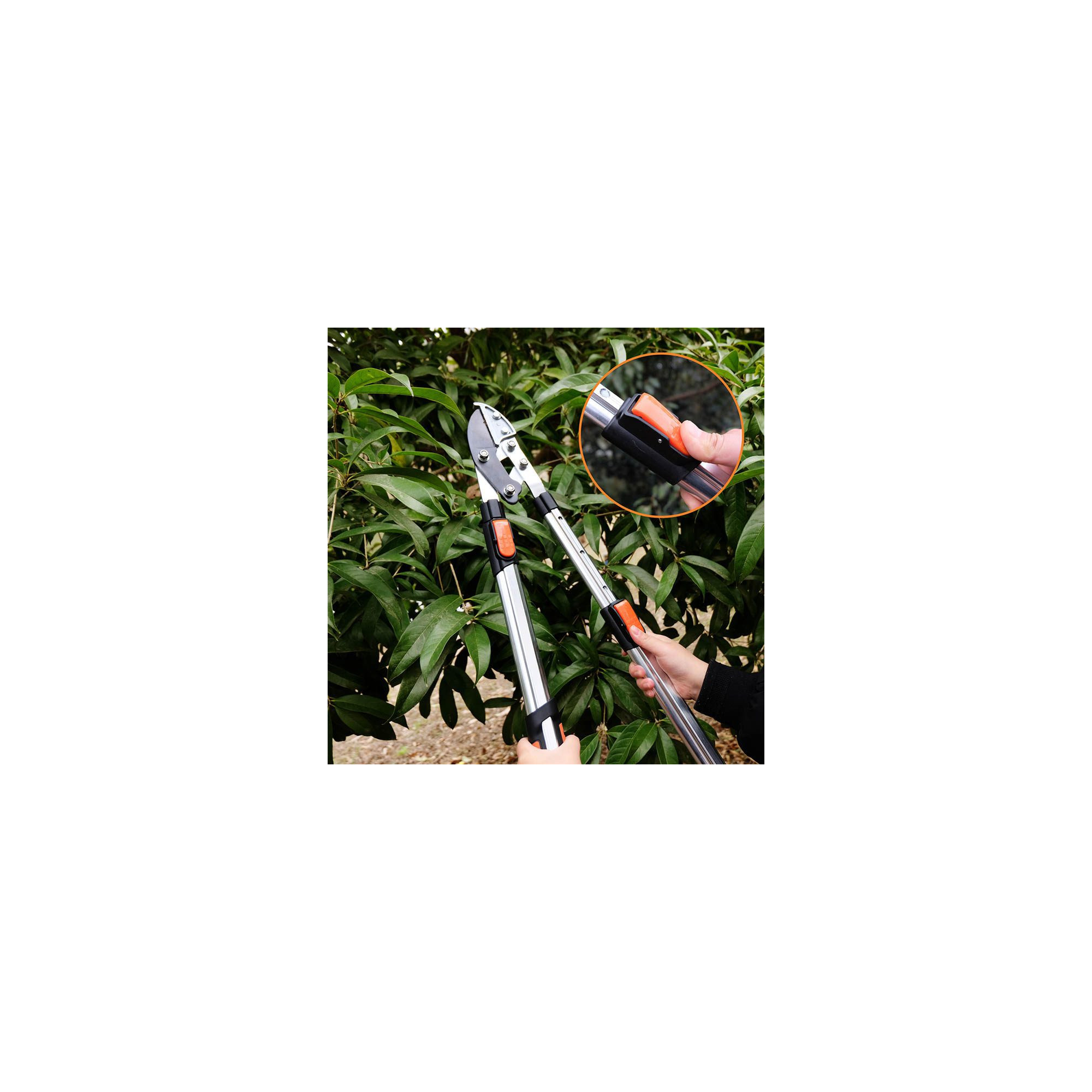 Coupe branche lame enclume - Suan - Manche télescopique - Dimensions : 87 x 34 cm