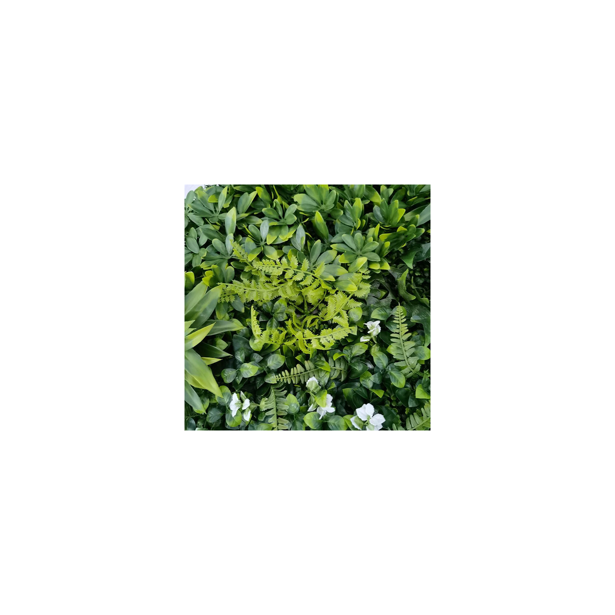 Mur végétal artificiel - Modèle fleur blanche - Dimensions : 100 x 100 cm