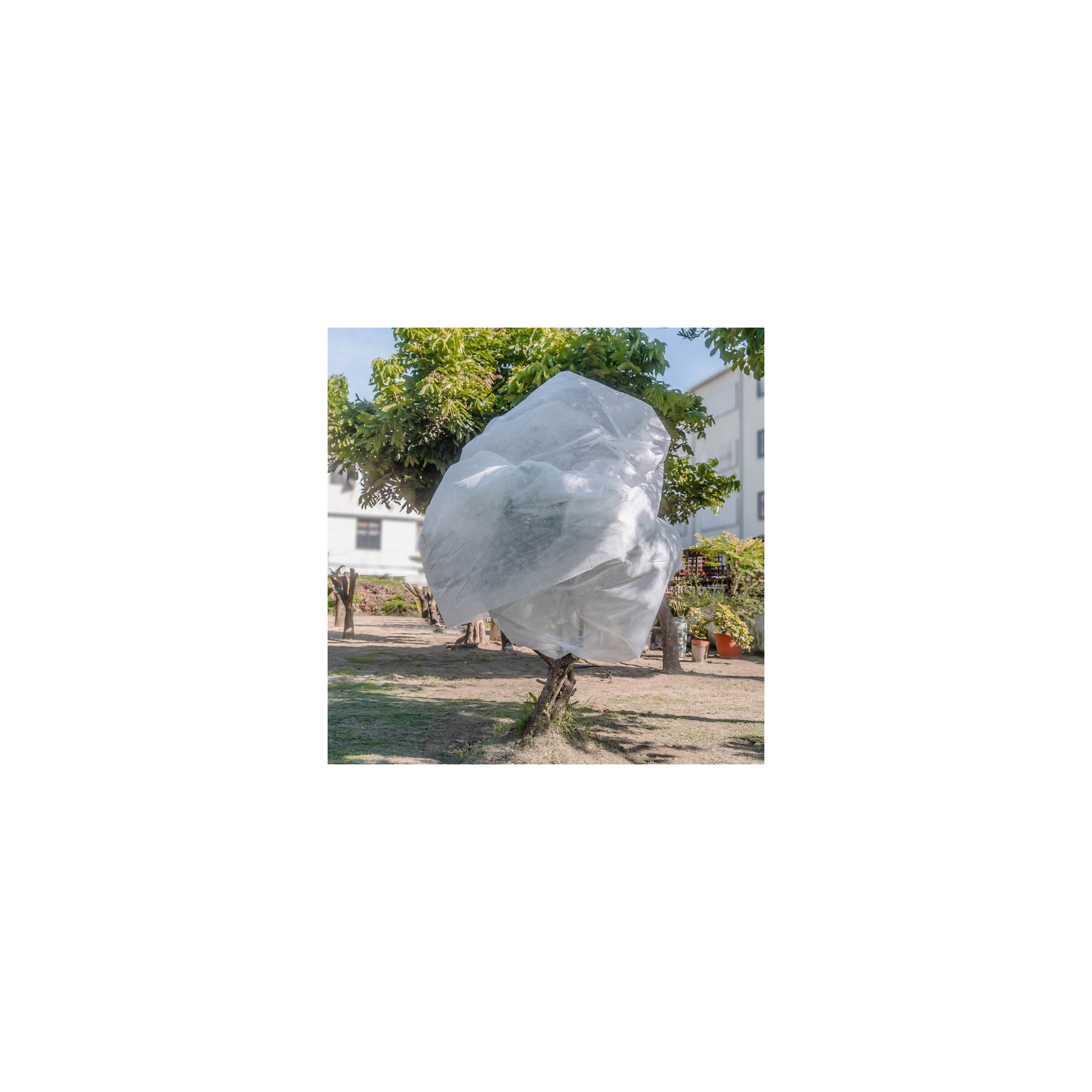 Voile d'hivernage - 200 x 500 cm - Protection pour plantes