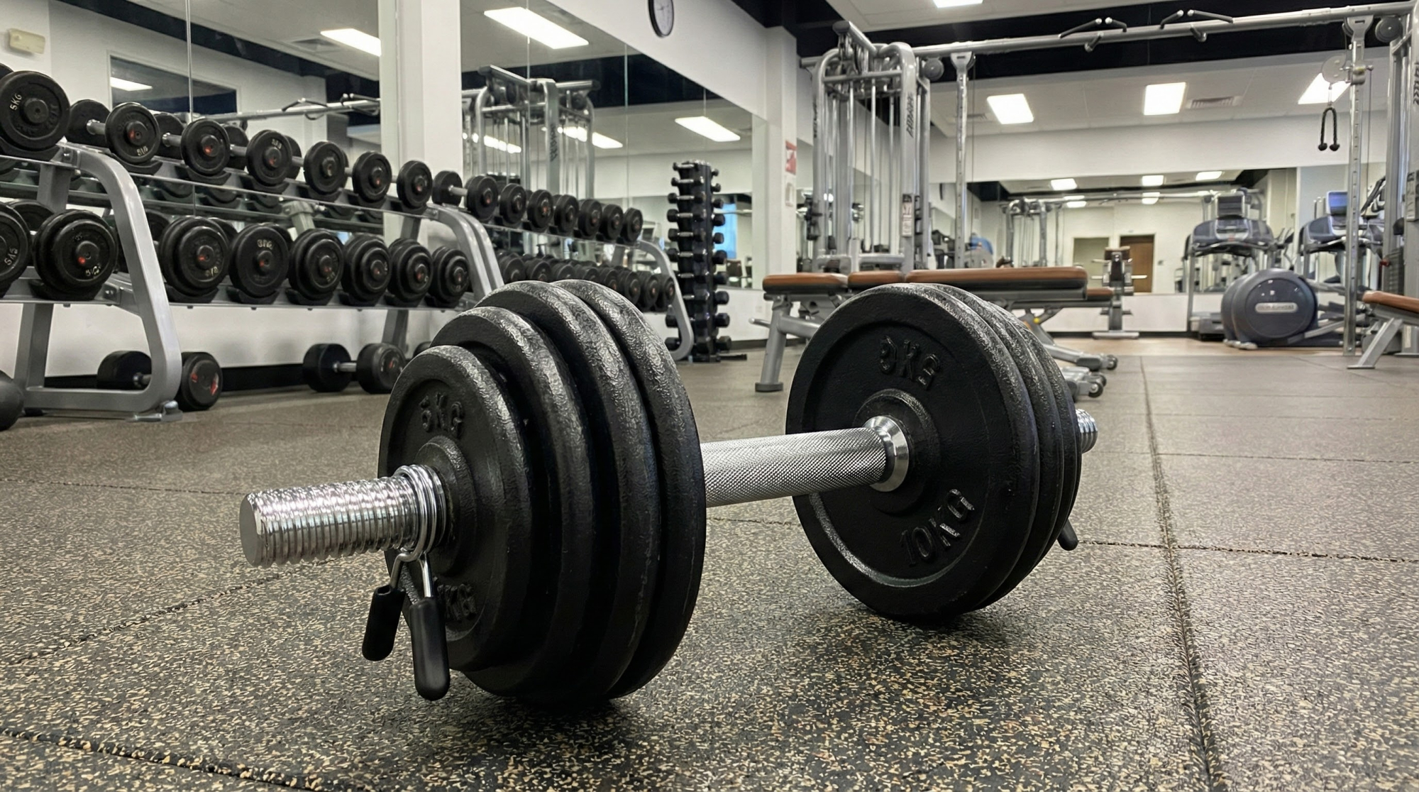 Haltère - FITLIFE - 10 KG - Diametre 28-32 mm - Fitness/Musculation - Maison/Appartement